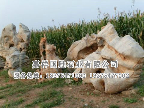 點(diǎn)擊查看詳細(xì)信息<br>標(biāo)題：自然奇石 閱讀次數(shù)：1920