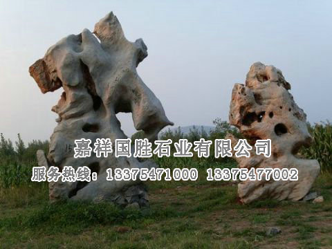 點(diǎn)擊查看詳細(xì)信息<br>標(biāo)題：自然奇石 閱讀次數(shù)：1746