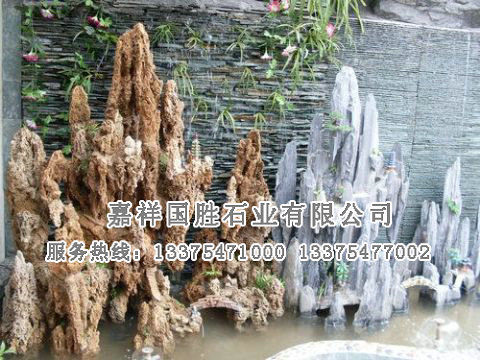 點(diǎn)擊查看詳細(xì)信息<br>標(biāo)題：假山 閱讀次數(shù)：2448