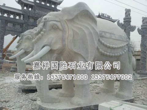 點(diǎn)擊查看詳細(xì)信息<br>標(biāo)題：大象 閱讀次數(shù)：2566