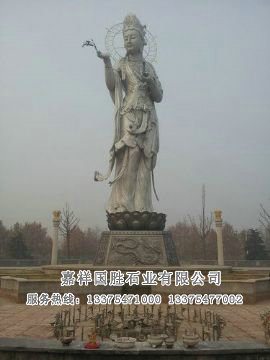 點(diǎn)擊查看詳細(xì)信息<br>標(biāo)題：滴水觀音 閱讀次數(shù)：2534