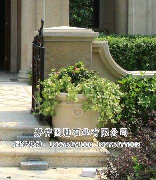 點(diǎn)擊查看詳細(xì)信息<br>標(biāo)題：花缽 閱讀次數(shù)：2486