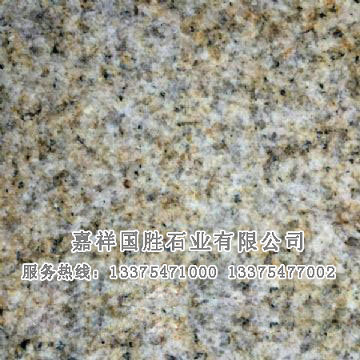 點擊查看詳細信息<br>標題：黃銹石荔枝面 閱讀次數(shù)：2543