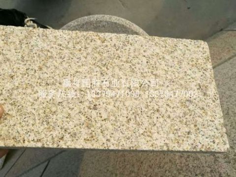 點擊查看詳細信息<br>標題：黃金麻 閱讀次數(shù)：2138