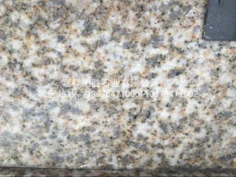 點擊查看詳細信息<br>標題：黃金麻 閱讀次數(shù)：2215